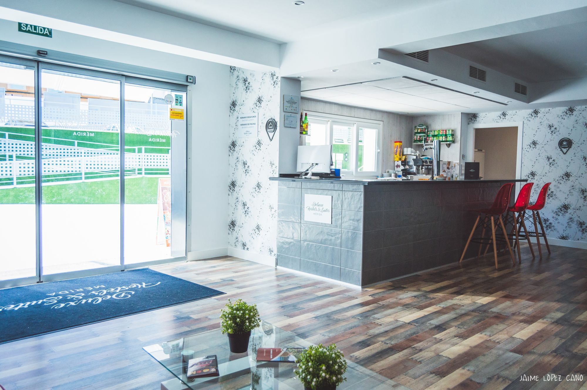 Deluxe Hostels & Suites 梅里达 外观 照片